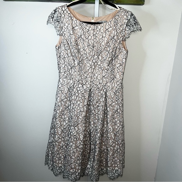 Eliza J Cream & Black Lace Cocktail Dress with Pockets Size 4 - Picture 14 of 15